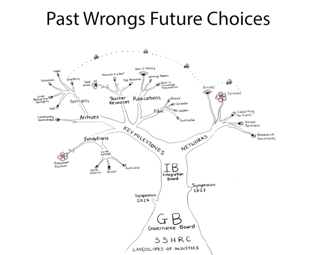 organization-chart-past-wrongs-future-choices